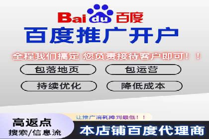 百度搜索推广案例解析：优化策略大揭秘